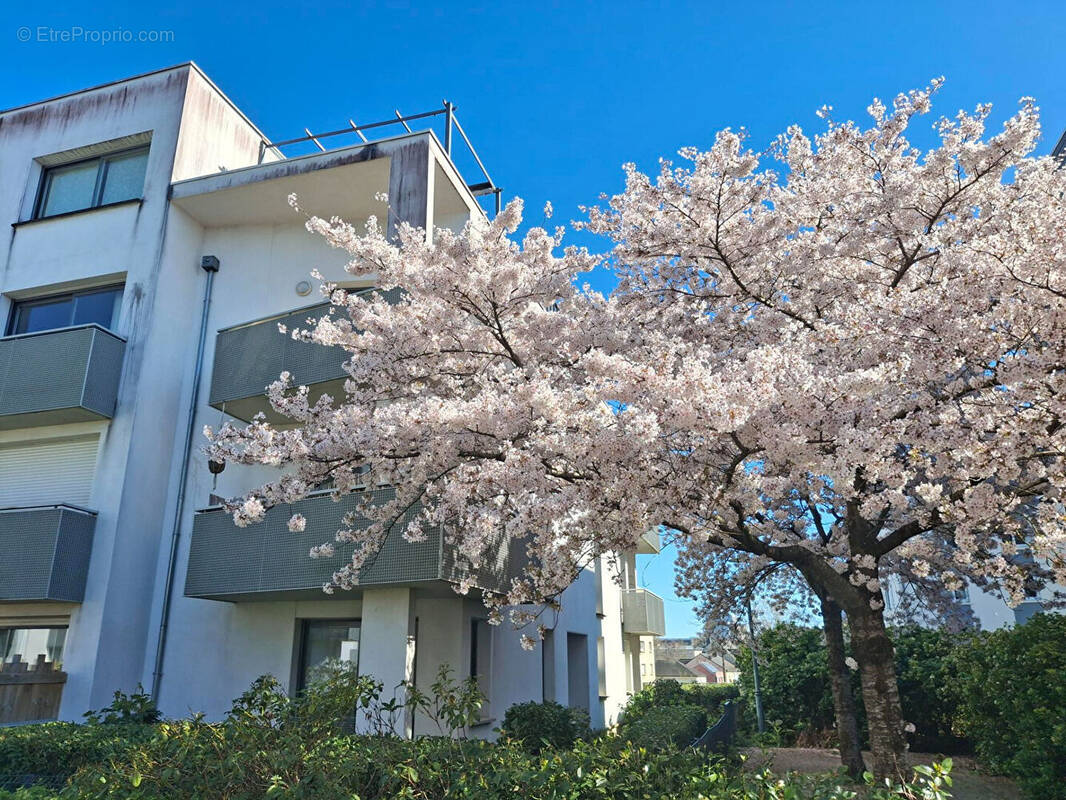 Appartement à RENNES