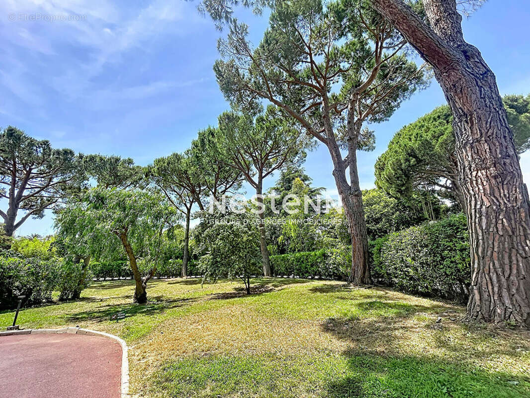 Golfe Juan - T2 32 m² avec terrasse - Sud/Ouest - Calme - photo 11