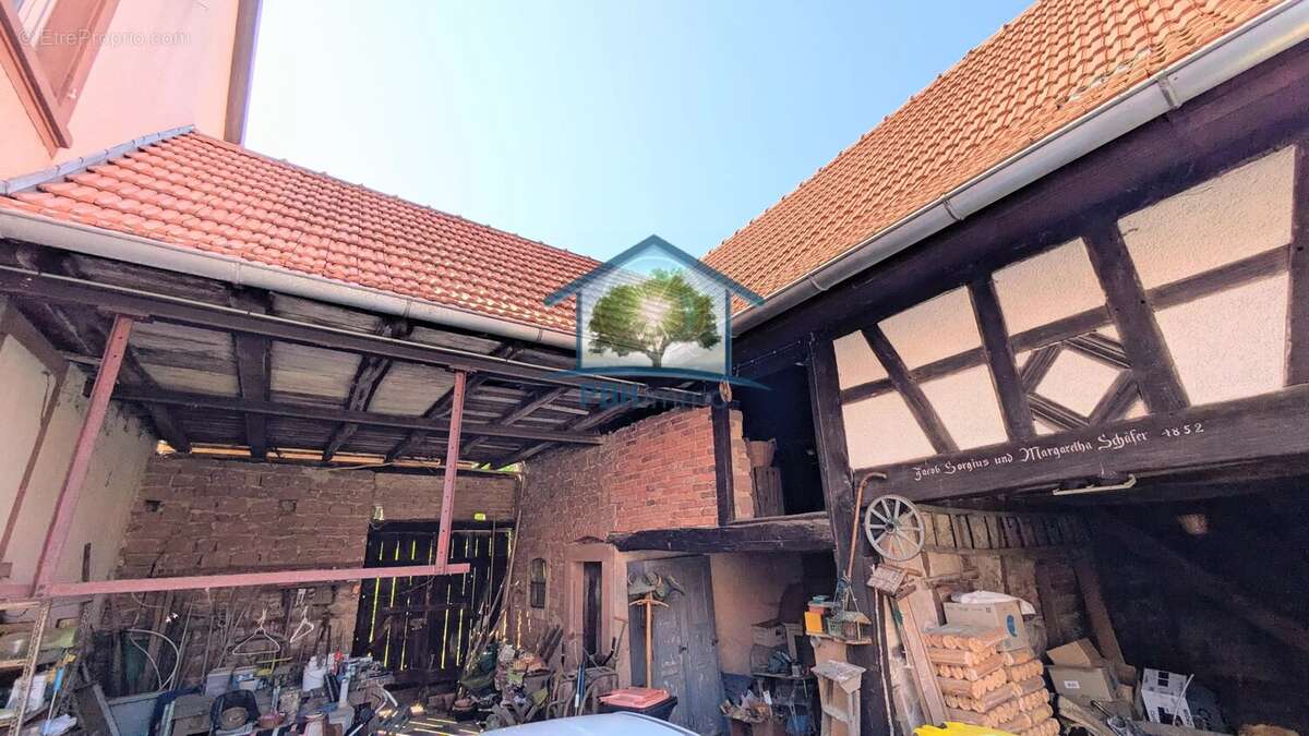 OBERMODERN (67) - Maison 131m² avec Cour, Dépendances et Jardin sur 12.46 ares - photo 4