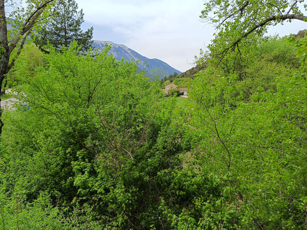 Terrain à SAVOILLAN