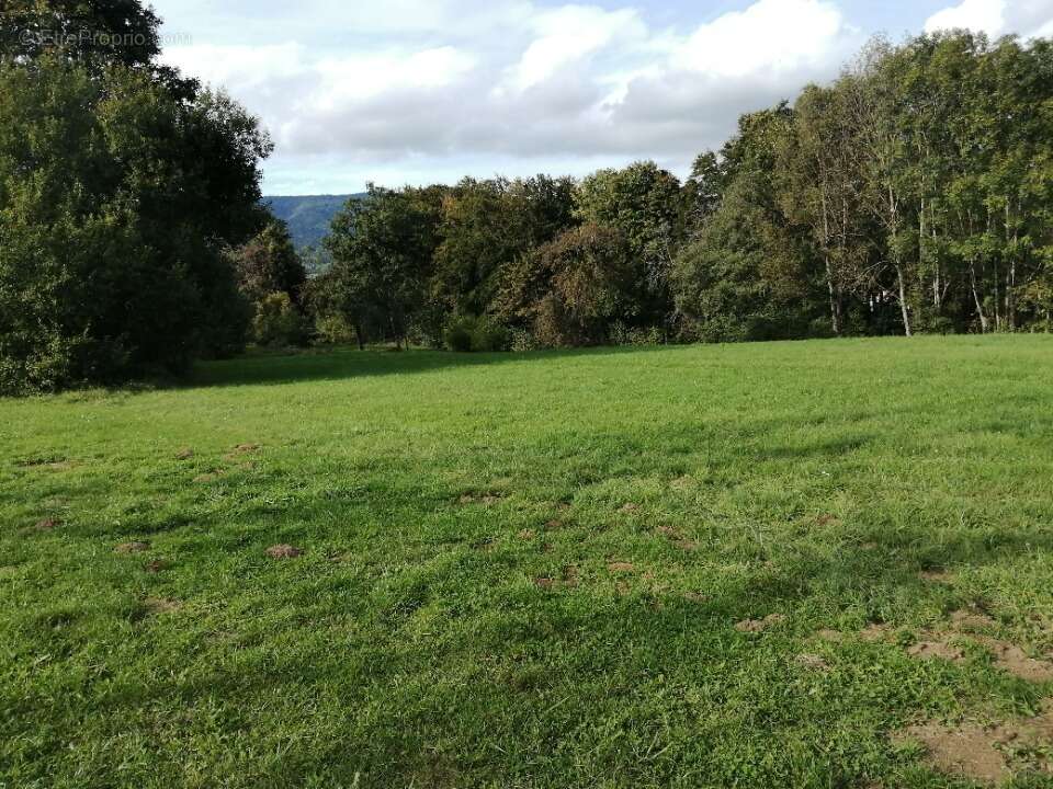Terrain à MENTHONNEX-EN-BORNES