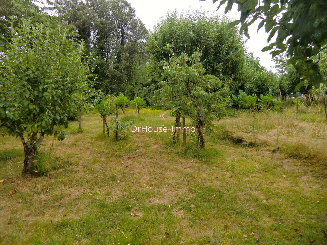 Terrain 1566 m² à Masseube  - photo 10