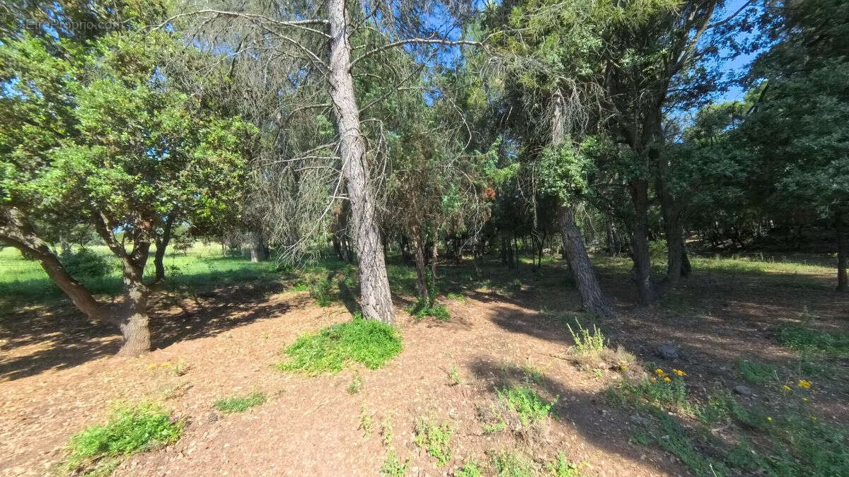 Terrain à SILLANS-LA-CASCADE