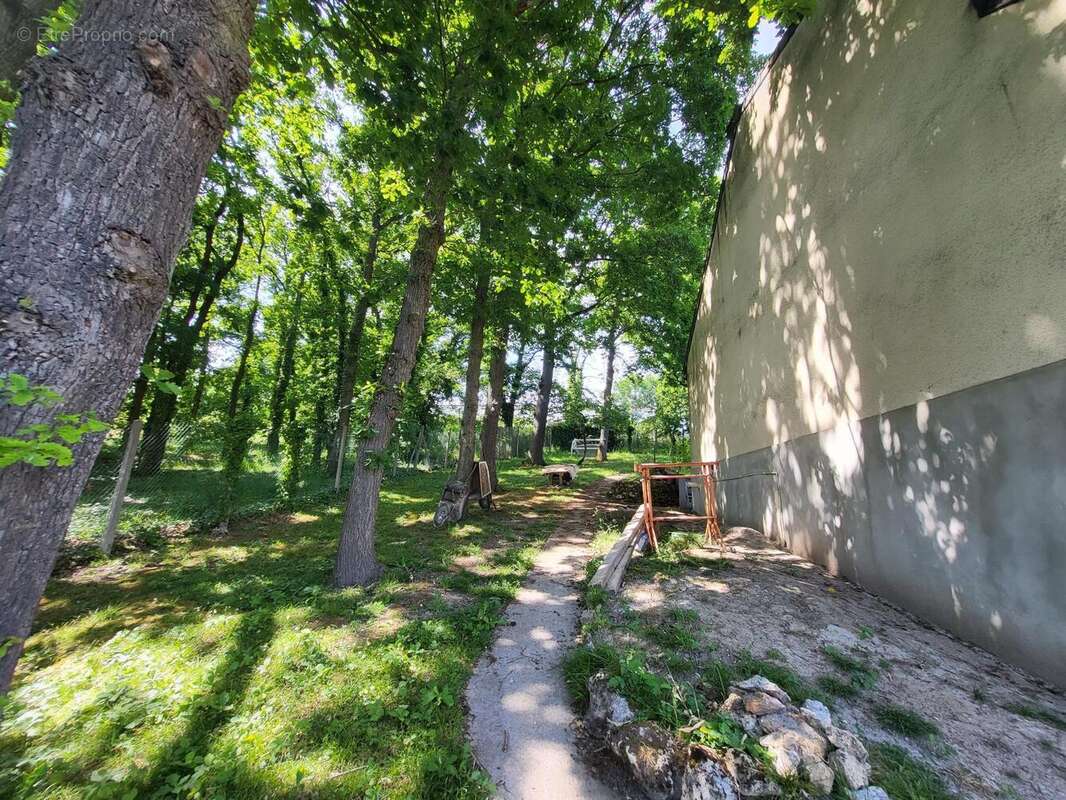 Photo 4 - Maison à BREUILLET