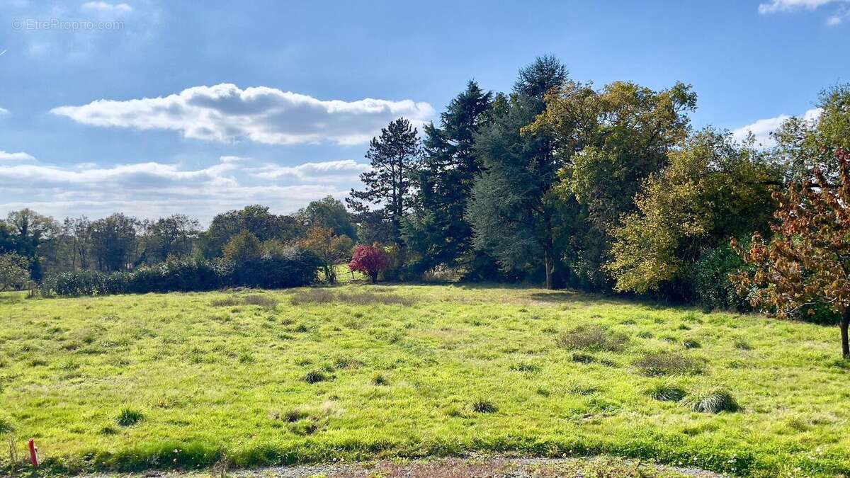Photo 3 - Maison à MARTIGNE-SUR-MAYENNE