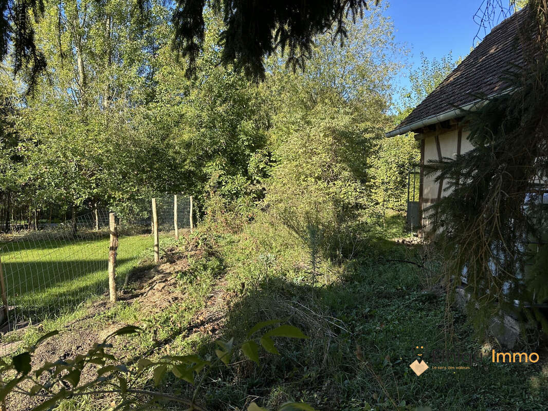 Terrain à NEUGARTHEIM-ITTLENHEIM