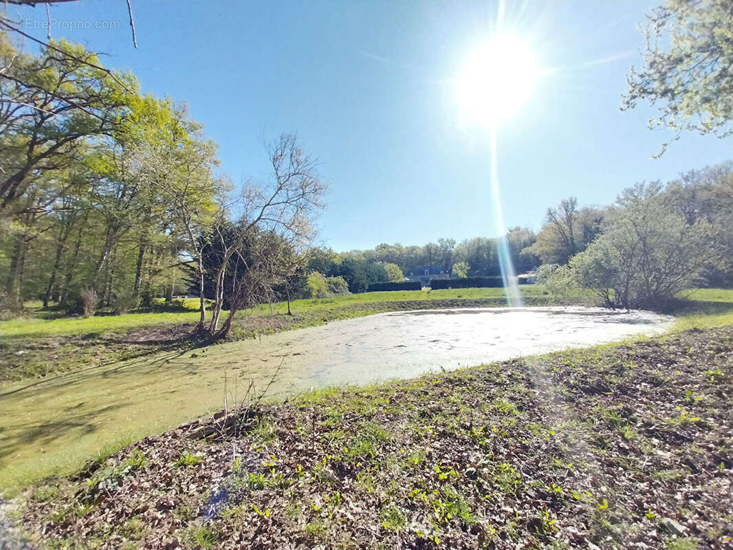 Maison à COUR-CHEVERNY