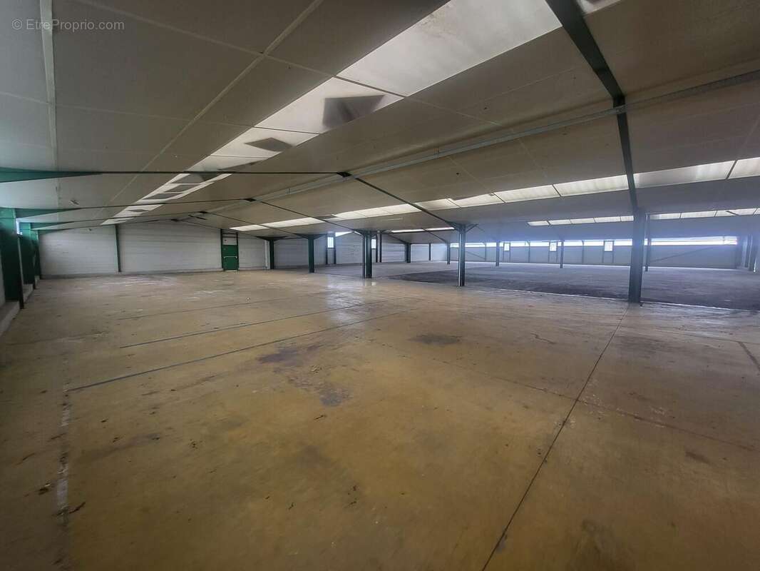 Photo 5 - Commerce à CASTETS-EN-DORTHE