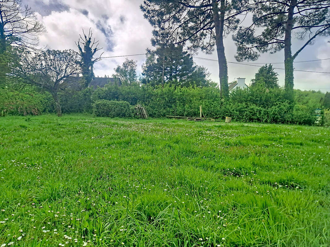 Terrain à SURZUR