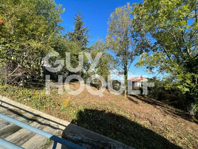 Terrain à LOIRE-SUR-RHONE