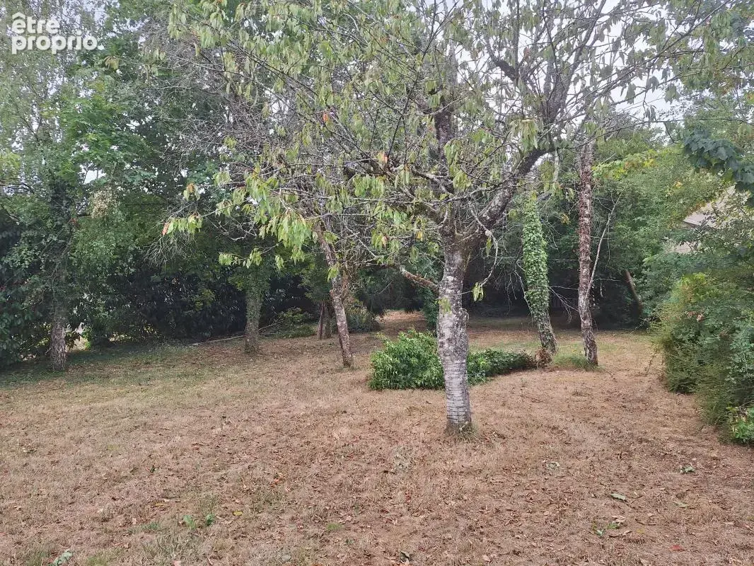 Maison À Vendre - photo 21