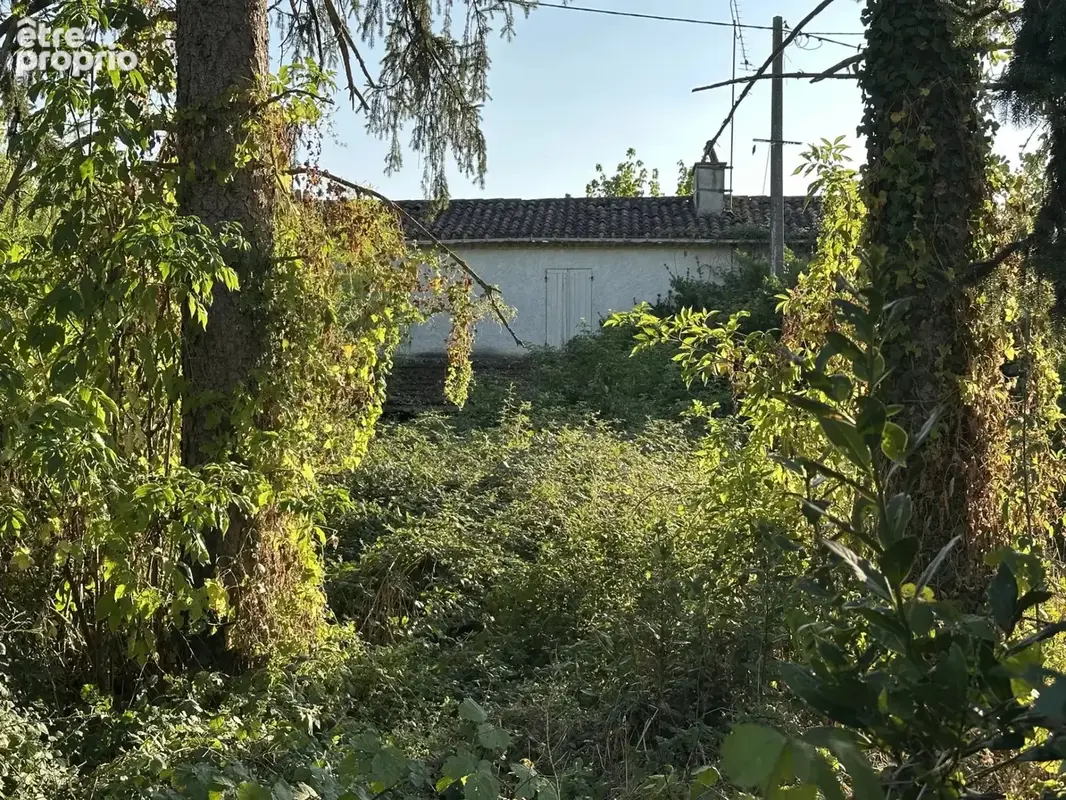 Maison et son terrain en bordure de Garonne - photo 2