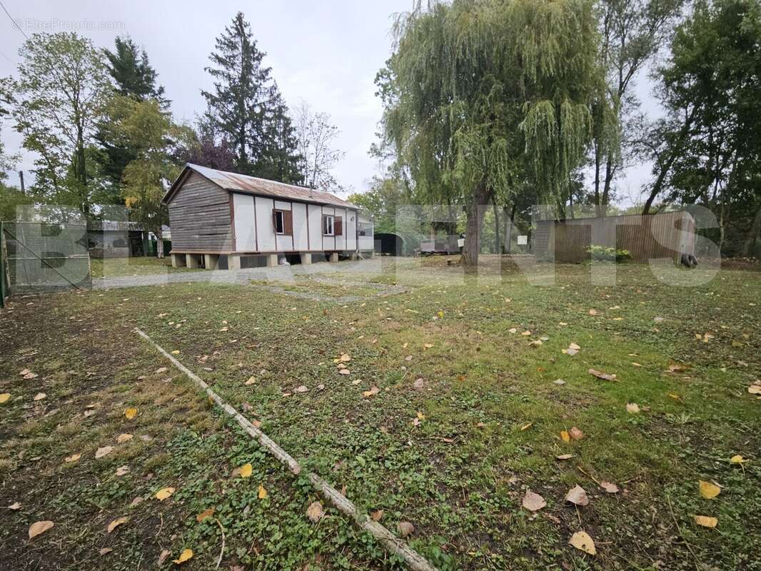 20250923_111943 - Terrain à AVAUX