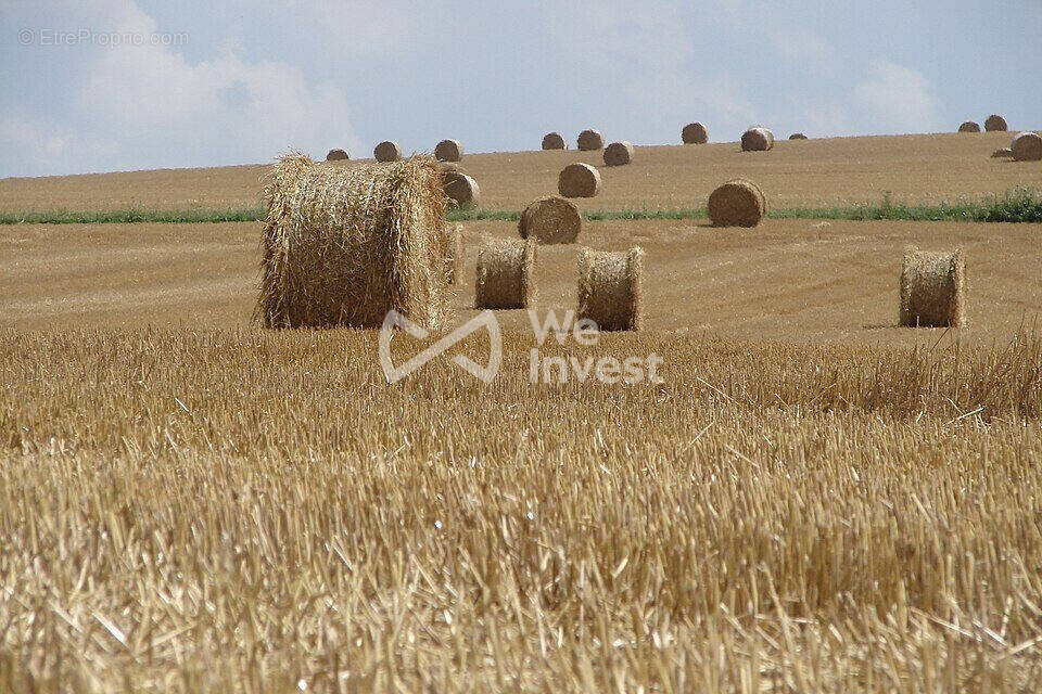 Terrain à CHARNY-SUR-MEUSE