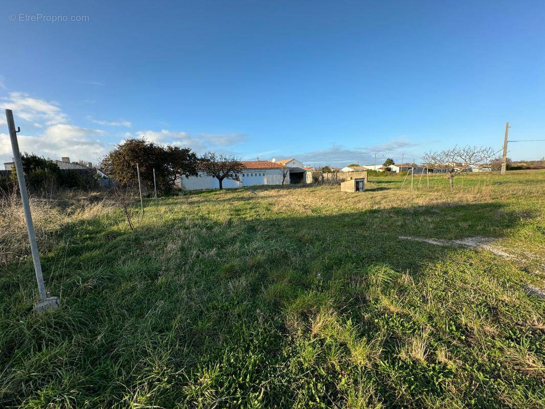 Terrain à SAINT-PIERRE-D&#039;OLERON