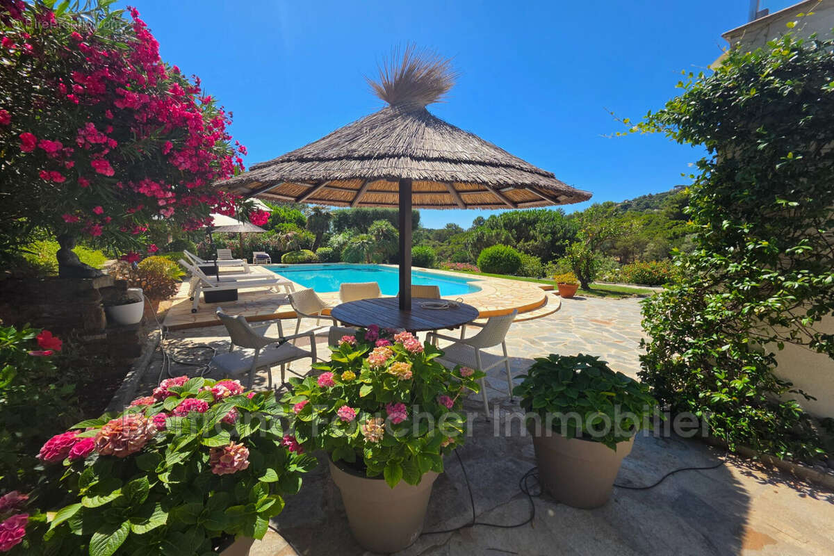 Maison 207 m² à Cavalaire-Sur-Mer  - photo 2