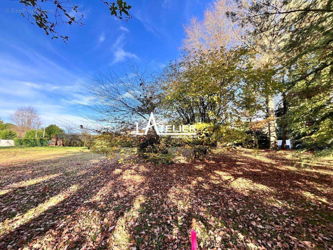 Terrain à SAUTRON