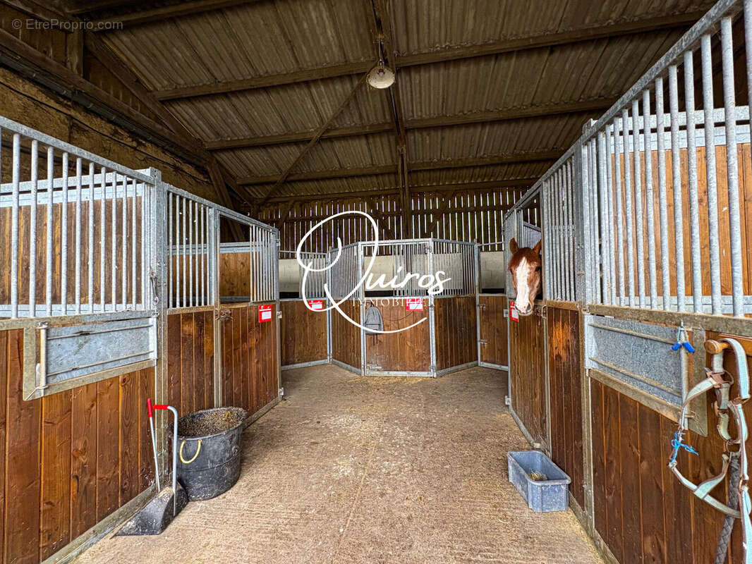 Maison à ISIGNY-SUR-MER