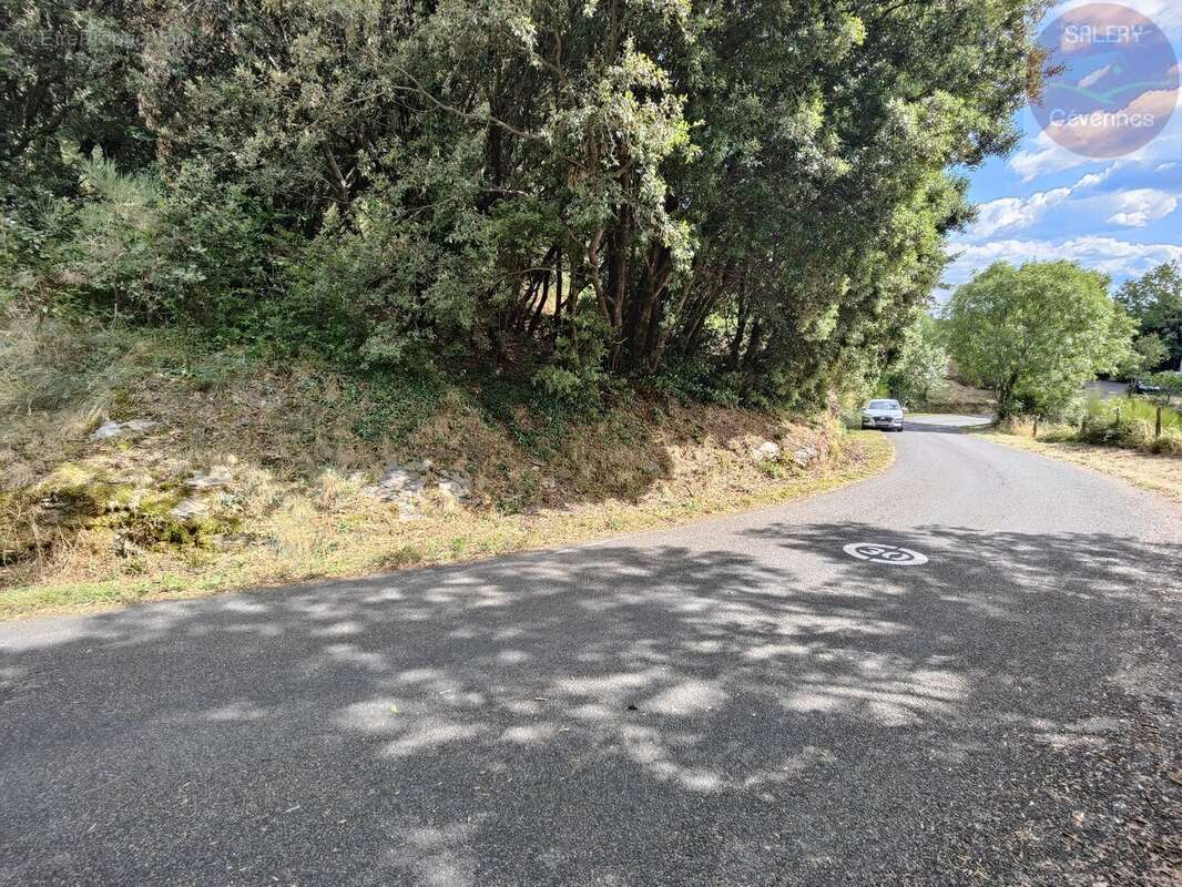 Terrain constructible de 2553m² en Cévennes Vallée Française - photo 12