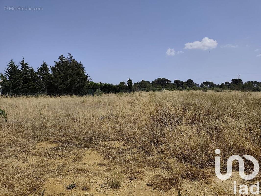 Photo 1 - Terrain à ROUBIA