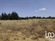 Photo 1 - Terrain à ROUBIA