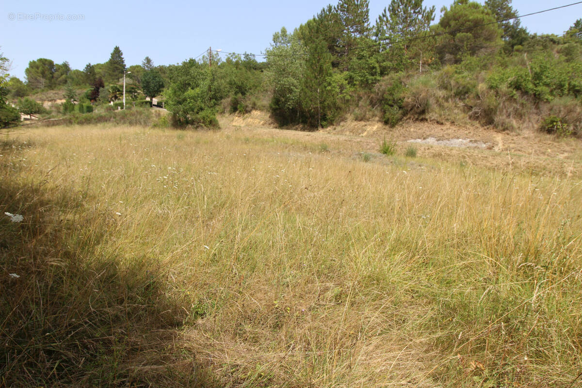 Terrain à SAINT-POLYCARPE