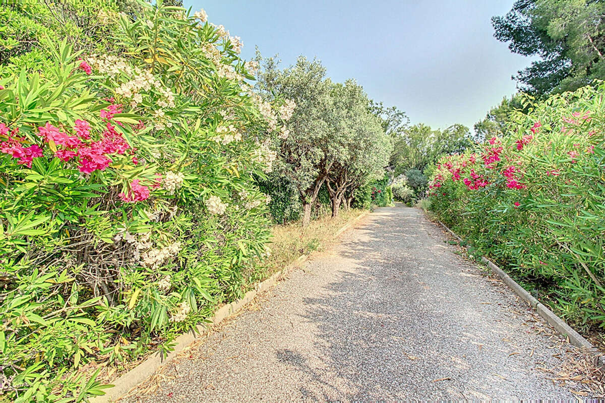 Maison à DRAGUIGNAN