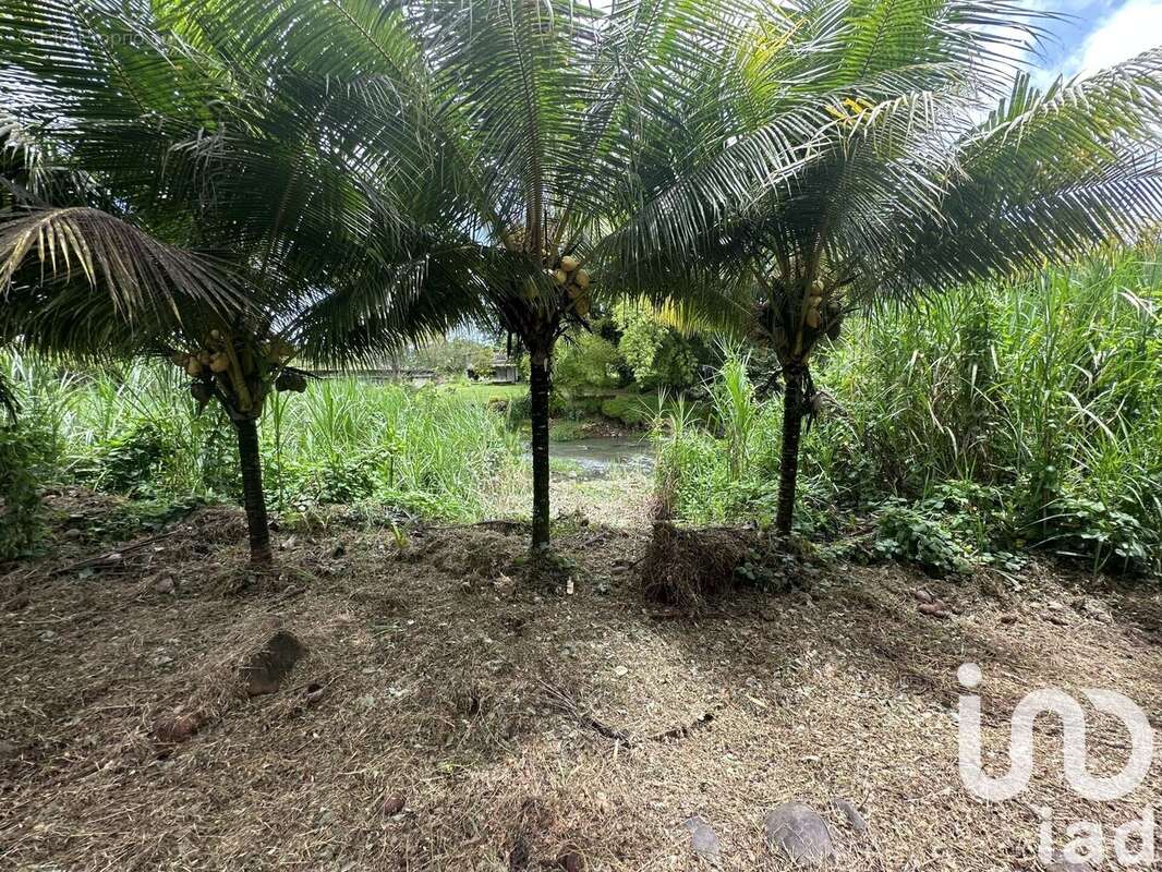 Photo 8 - Autre à GOYAVE