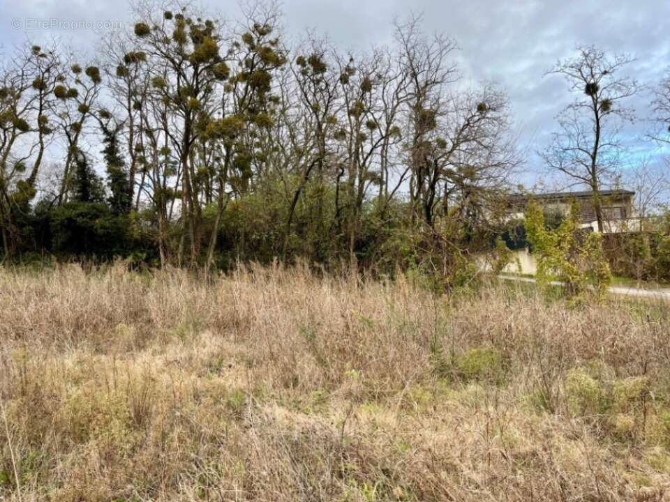 Terrain à MONTBOUCHER-SUR-JABRON