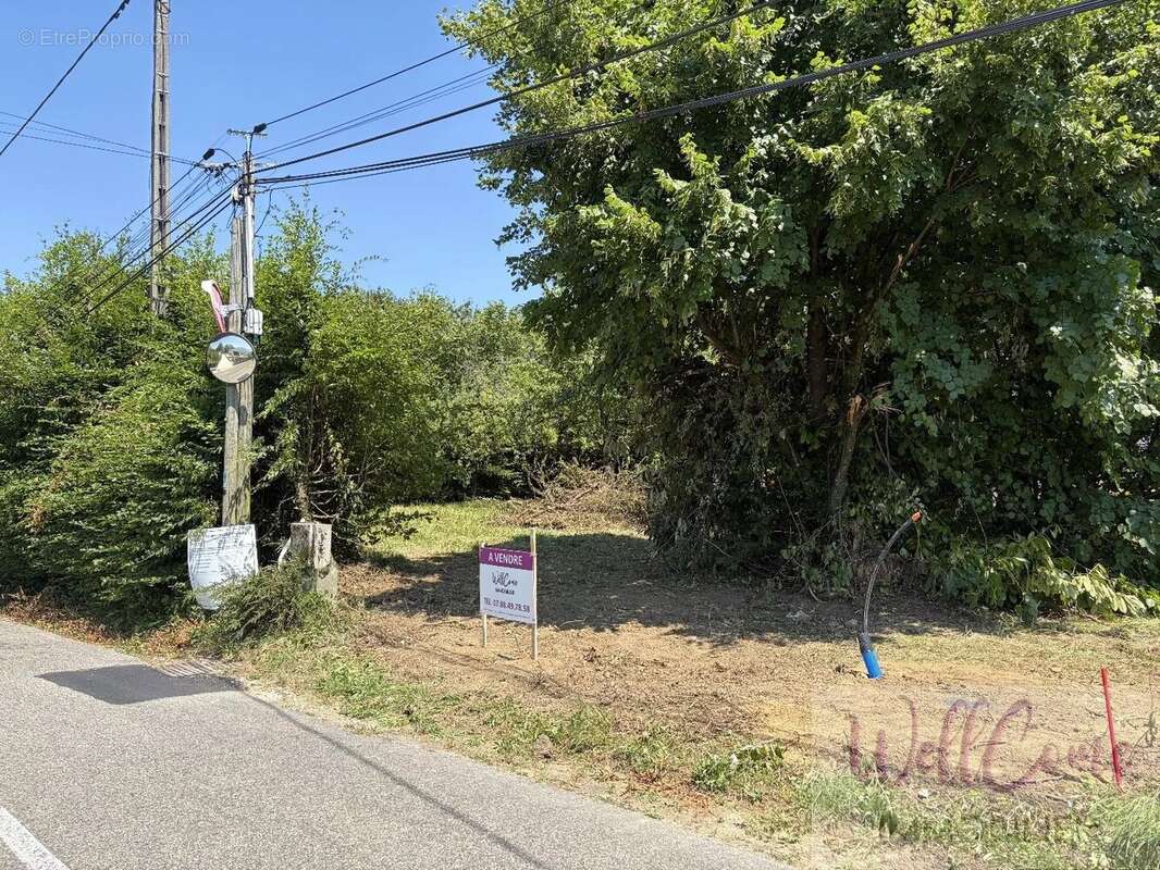 Terrain plat constructible de 953 m² — Libre constructeur — Grésy-sur-Aix - photo 4