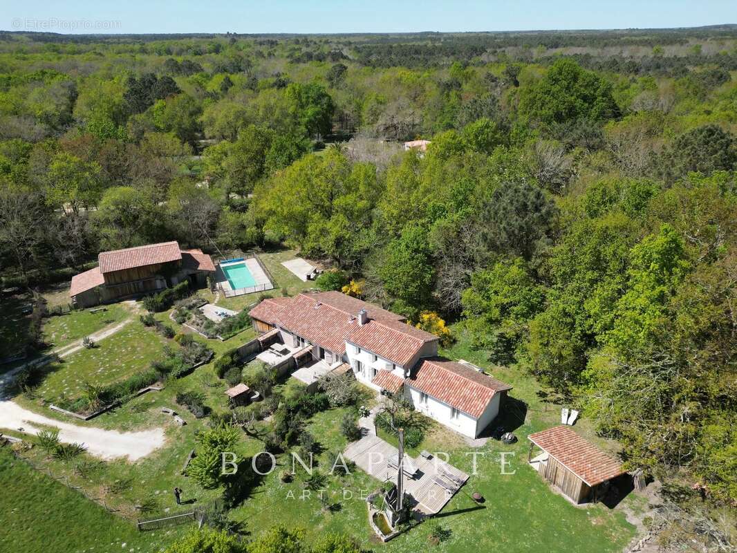 Vensac - propriete de 4,5 hectares à 5 minutes des plages océanes - photo 2