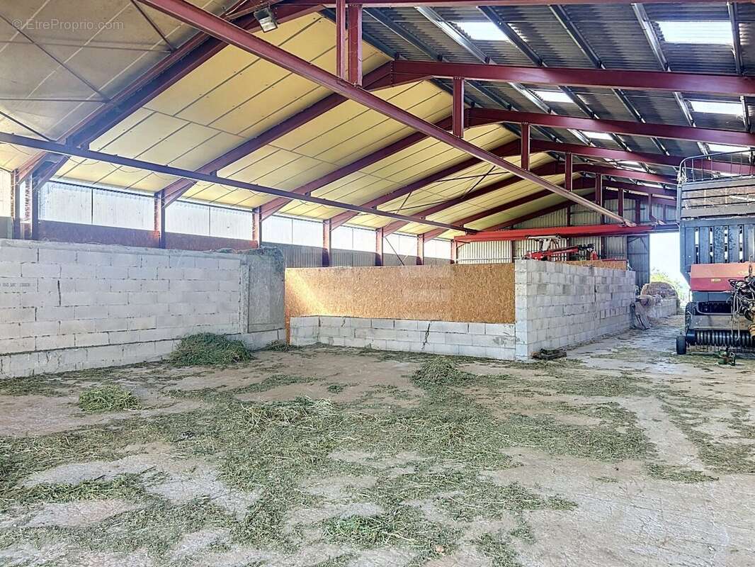 TARN (81) - A CEDER Exploitation ovin lait performante - photo 6