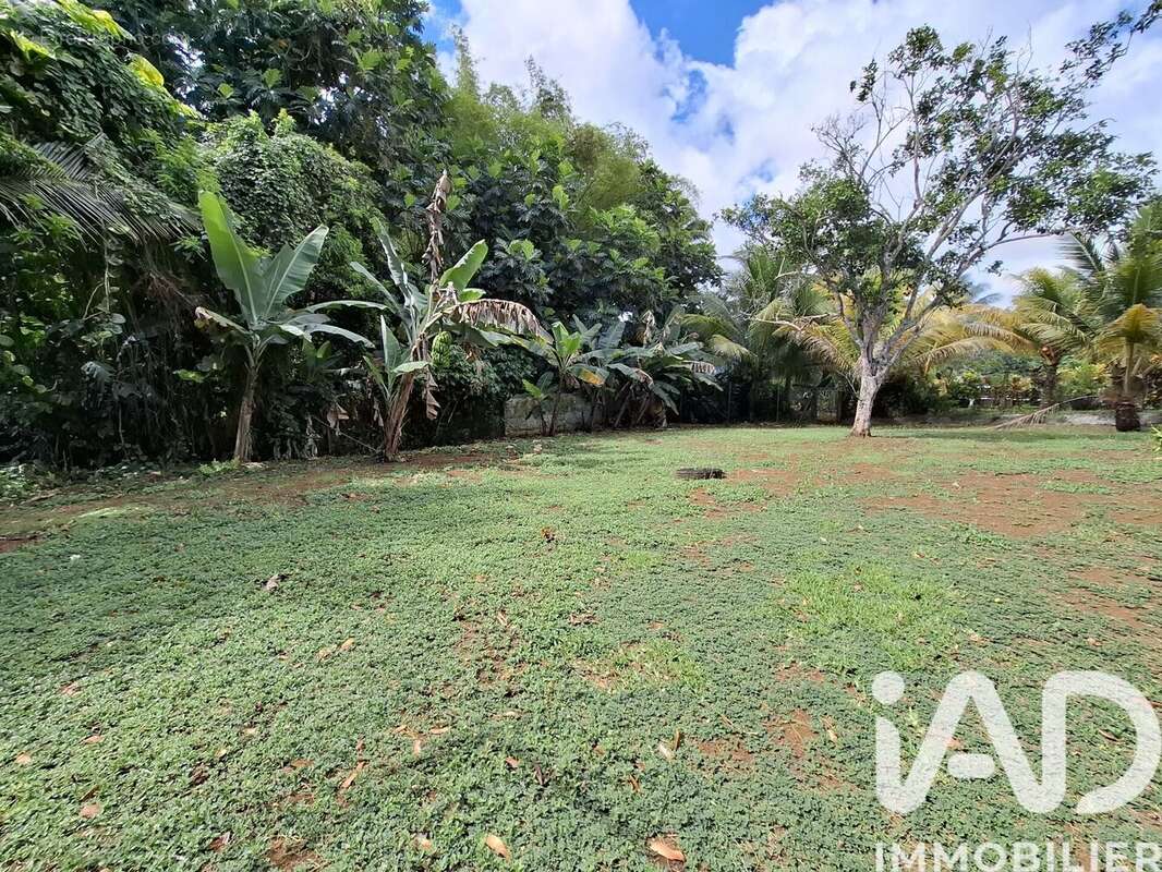 Photo 7 - Maison à PETIT-BOURG