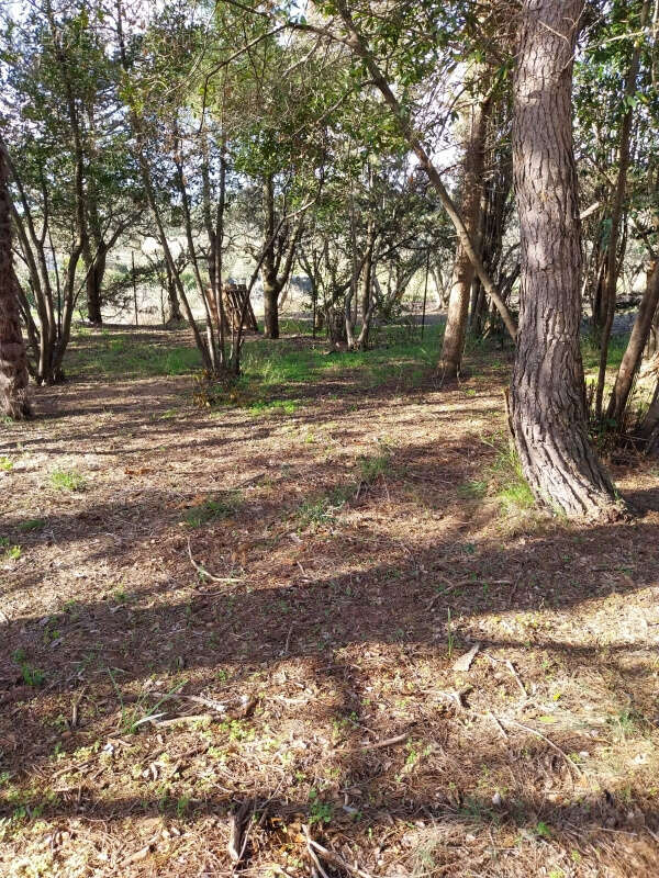 Terrain à OUVEILLAN