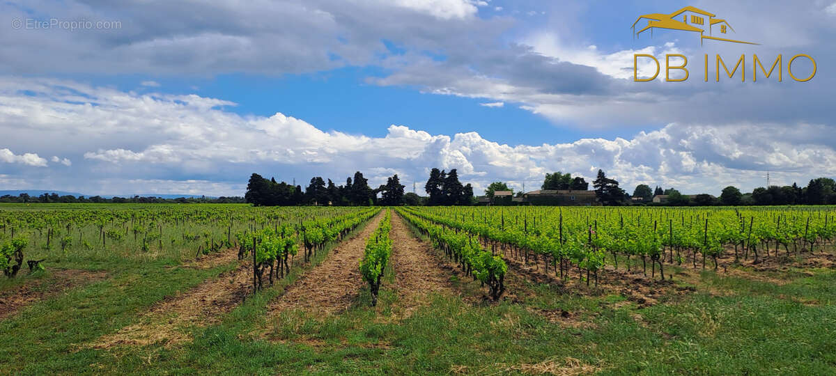 Terrain à SAINTE-CECILE-LES-VIGNES