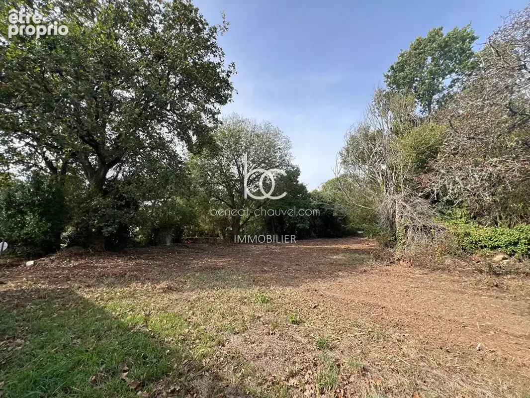 Photo Terrain à Sarzeau au prix de 367 500€
