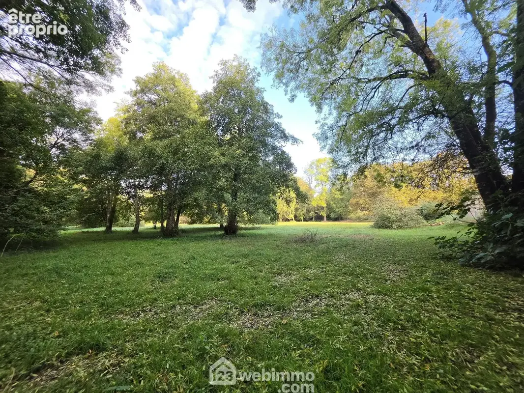 Sur un magnifique terrain arboré
