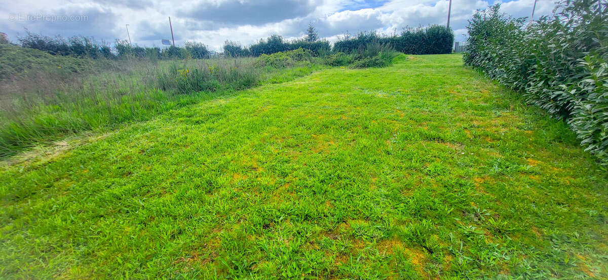 Photo 3 - Terrain à CHIRAC