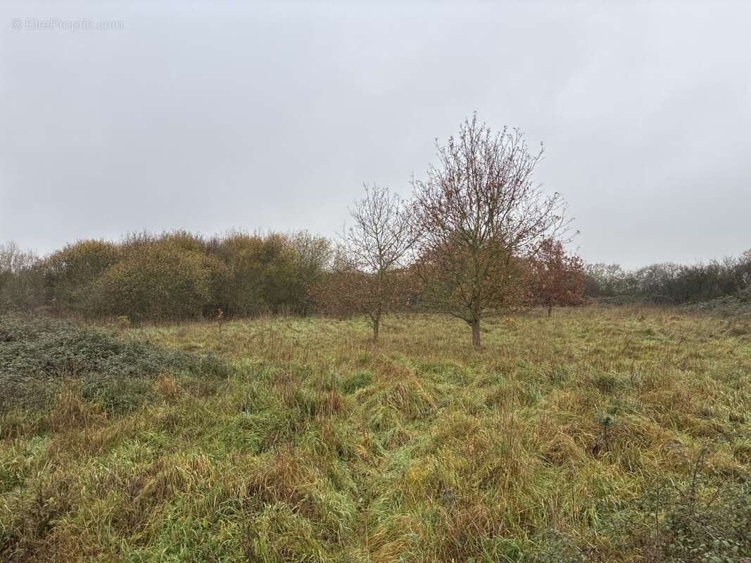 Terrain à LA BAZOUGE-DES-ALLEUX