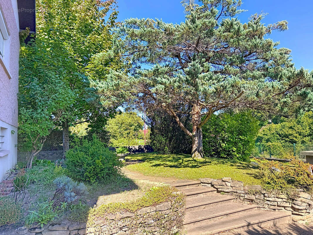 Maison à TAILLECOURT