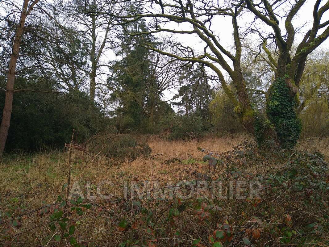 Maison à LIGNIERES-ORGERES