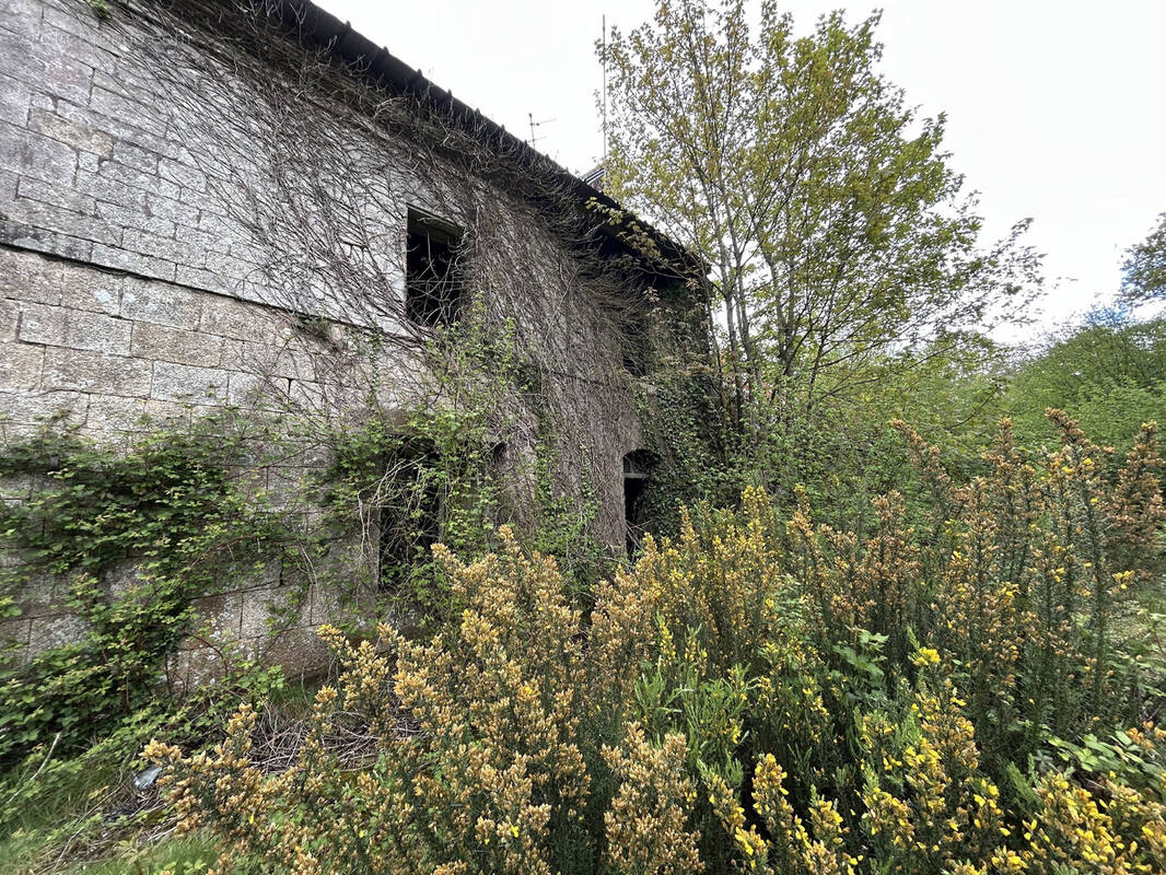 Maison à SAINT-BARTHELEMY