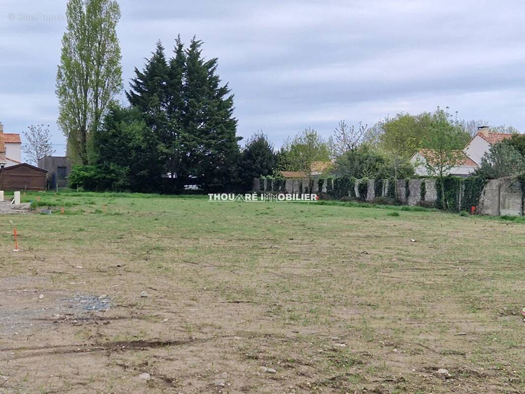 Terrain à MAUVES-SUR-LOIRE