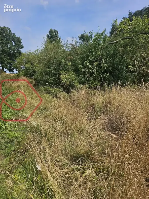 Ensemble immobilier et foncier de plus de 8 000 m²  Maison à réhabiliter & Terrain constructible et terrain agricole a 5 mns de - photo 2