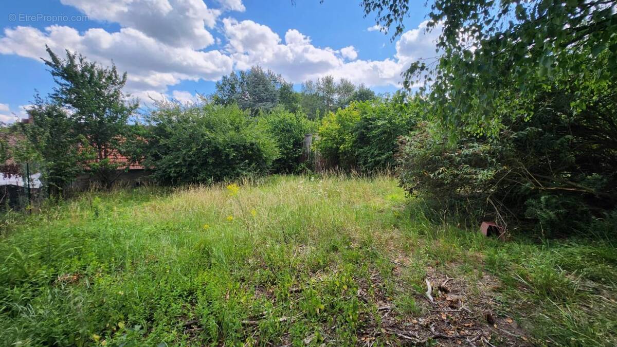 Terrain à CUISE-LA-MOTTE