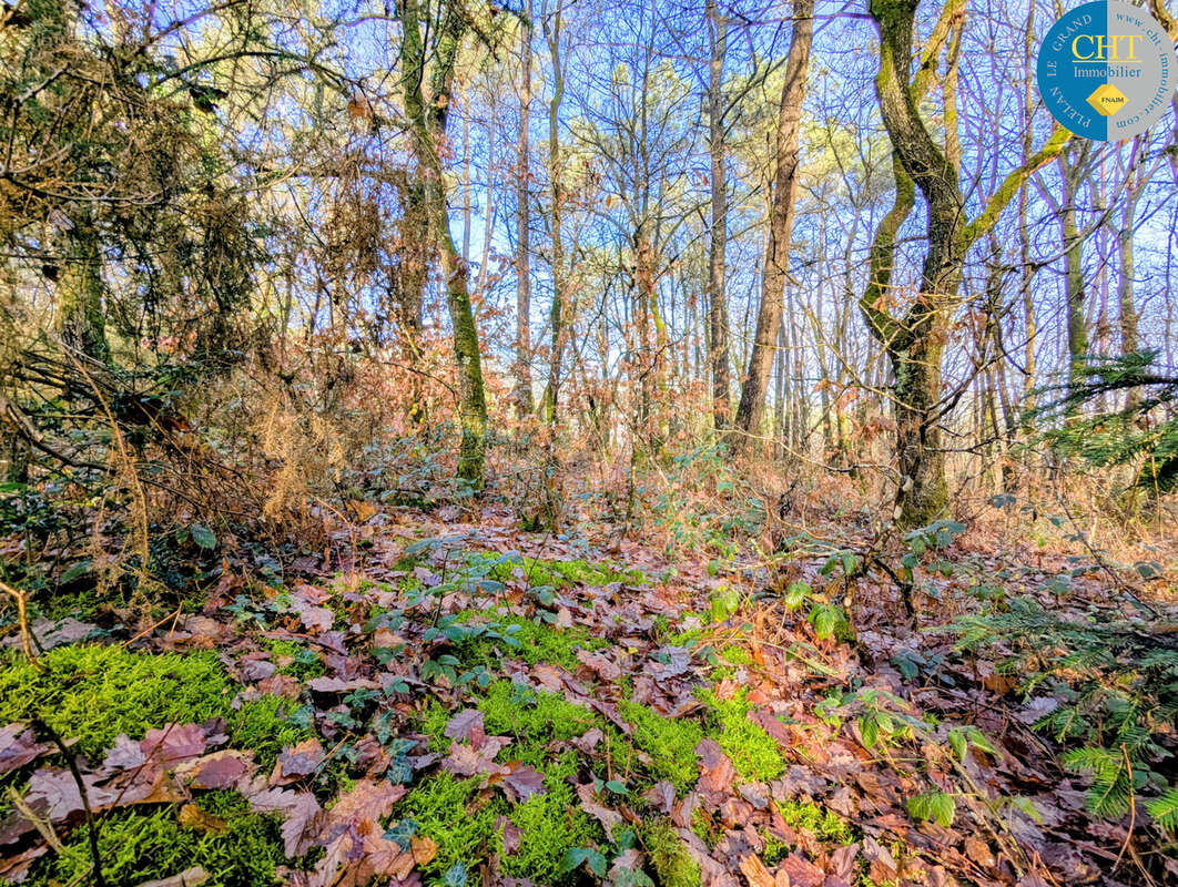 Terrain à BEIGNON