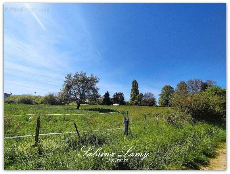 Terrain à SUIZY-LE-FRANC