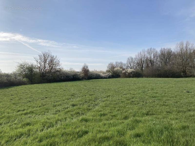 Terrain à BUZET-SUR-TARN