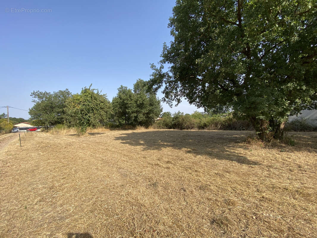 Terrain constructible à vendre   Larra (31)   1 066 m2 - photo 3