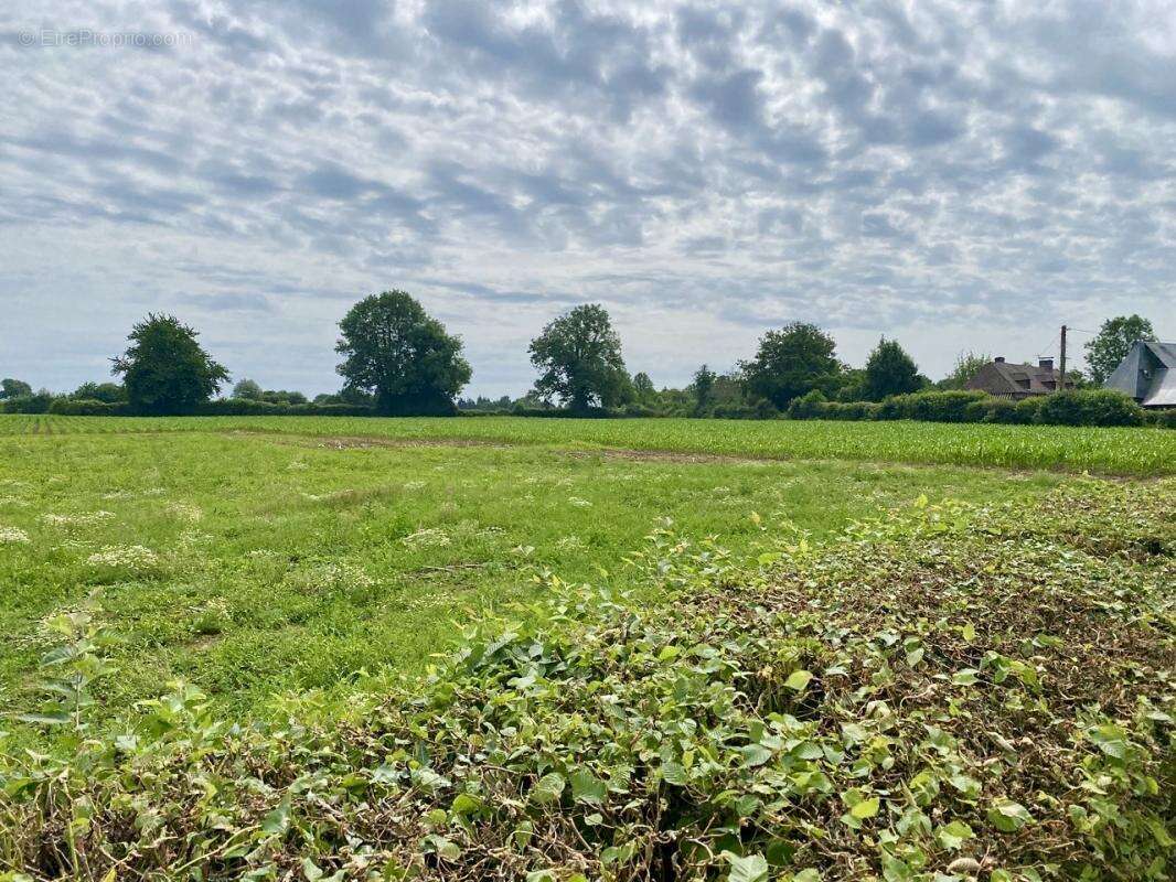 Terrain à SAINT-BENOIT-D&#039;HEBERTOT